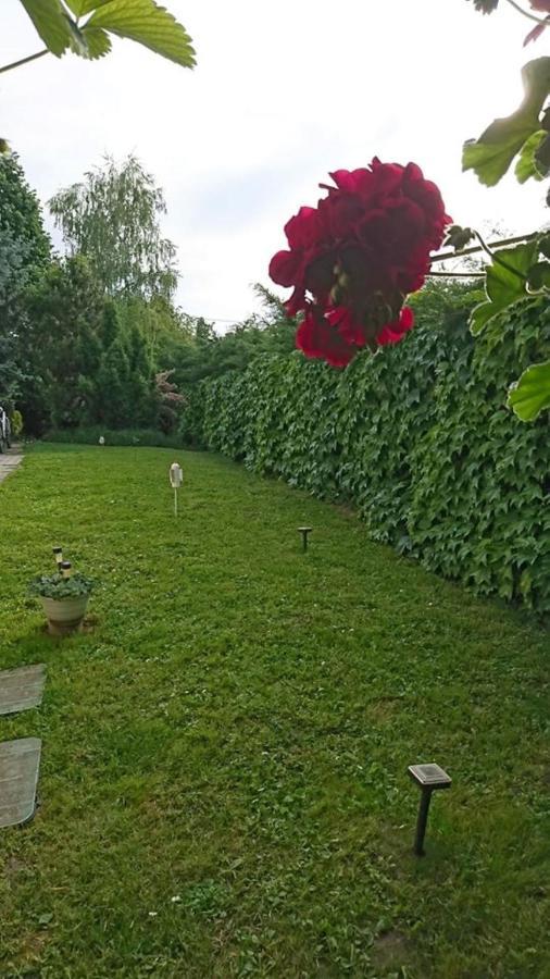 Апартаменты Liliana Vendeghaz Балатонфюзфё Экстерьер фото